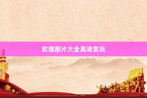 玫瑰图片大全高清赏玩